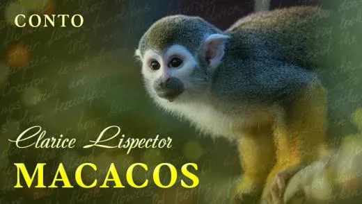  Artigo Macacos