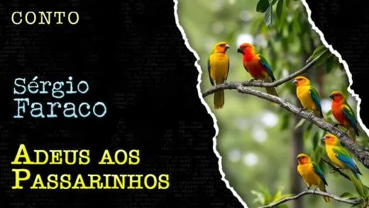 Postagem Recomendada: Adeus aos Passarinhos