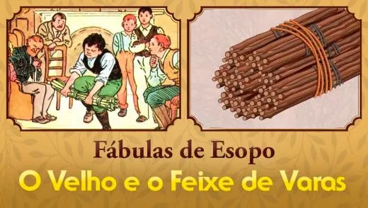 Artigo O Velho e o Feixe de