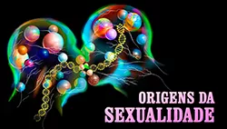 Artigo Nossa Orientação Sexual é Determinada no